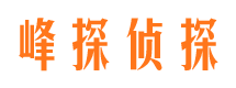 锦江市场调查